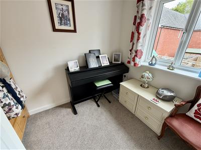 Picture 21
